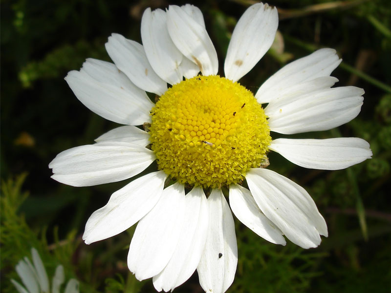 Photo 1 - Click to Close