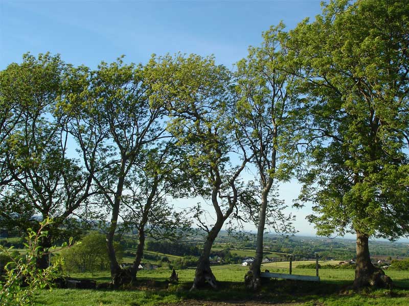 Photo 3 - Click to Close